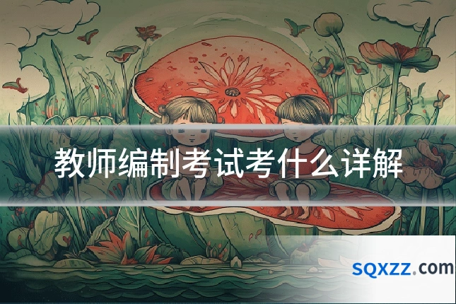 教师编制考试考什么详解