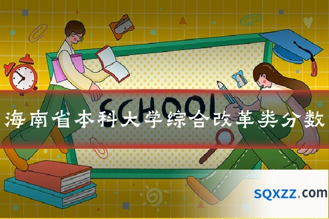 海南省本科大学综合改革类分数