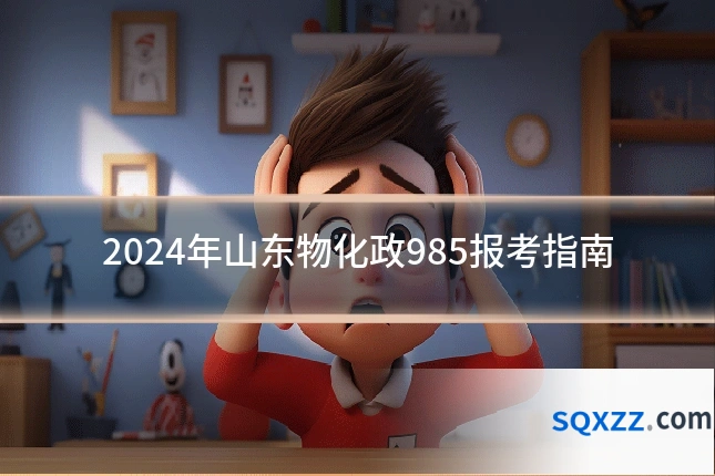 2024年山东物化政985报考指南