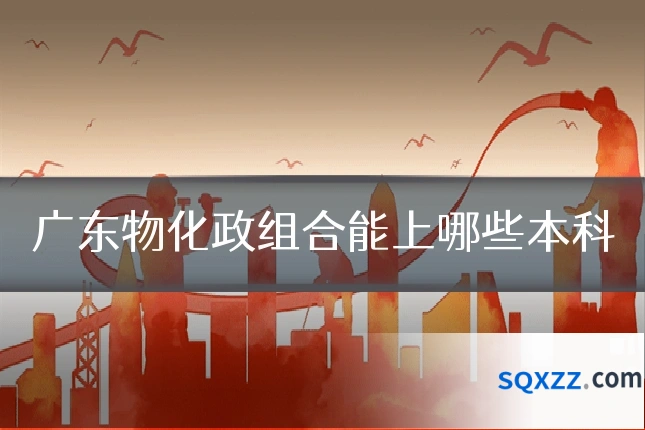 广东物化政组合能上哪些本科