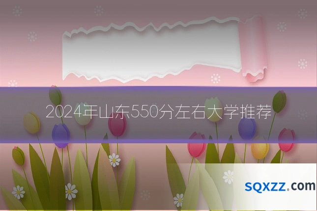 2024年山东550分左右大学推荐