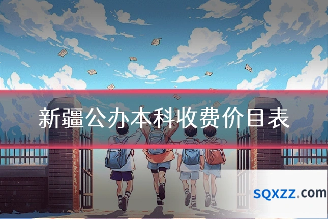 新疆公办本科收费价目表