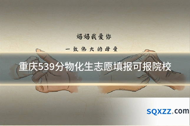 重庆539分物化生志愿填报可报院校