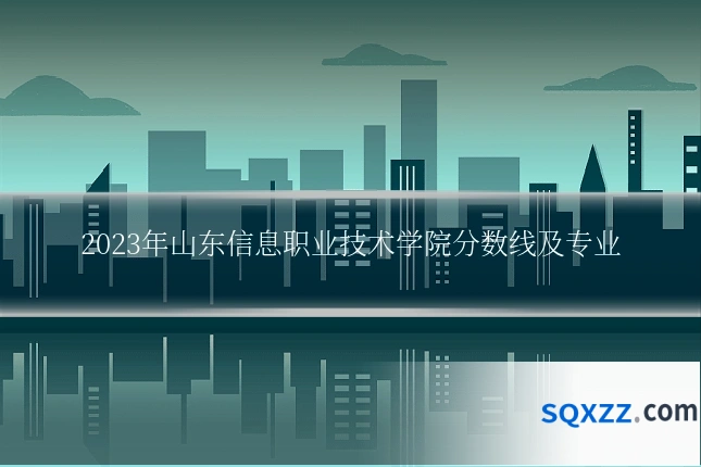 2023年山东信息职业技术学院分数线及专业