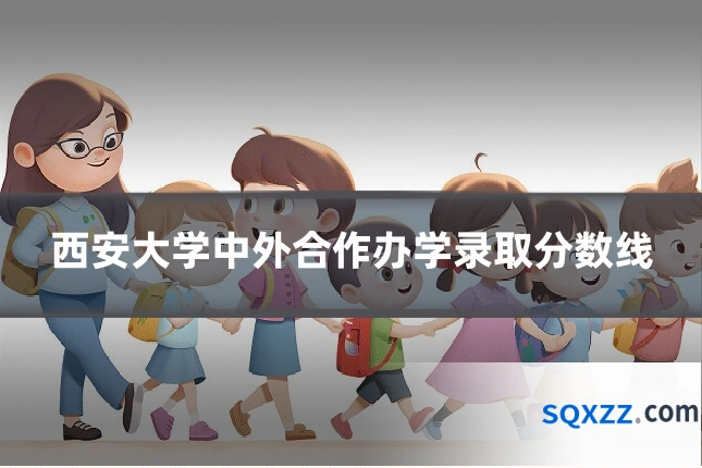 西安大学中外合作办学录取分数线