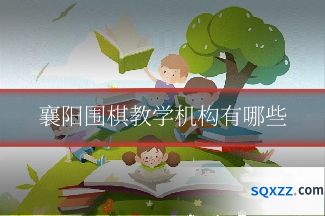 襄阳围棋教学机构有哪些