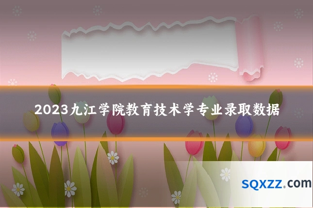2023九江学院教育技术学专业录取数据