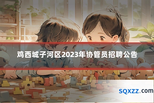 鸡西城子河区2023年协管员招聘公告