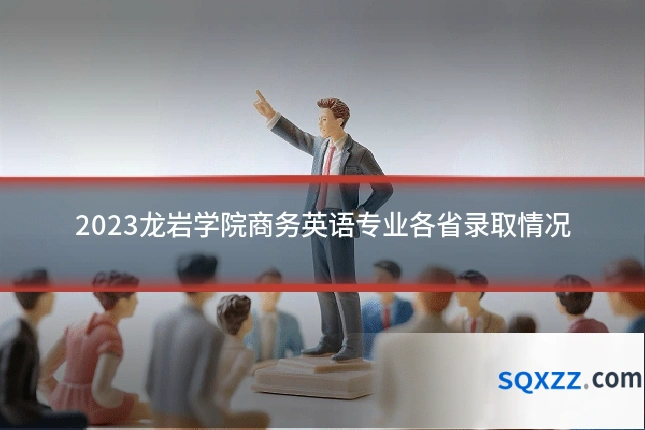 2023龙岩学院商务英语专业各省录取情况