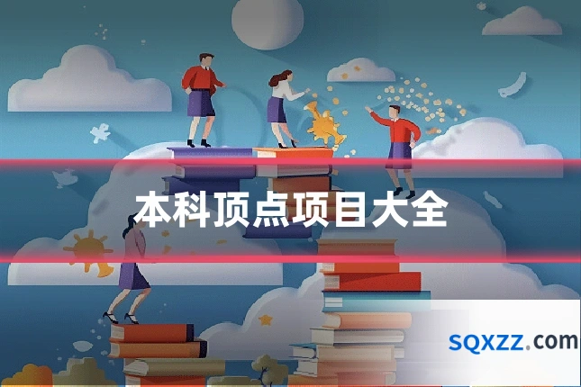 本科顶点项目大全