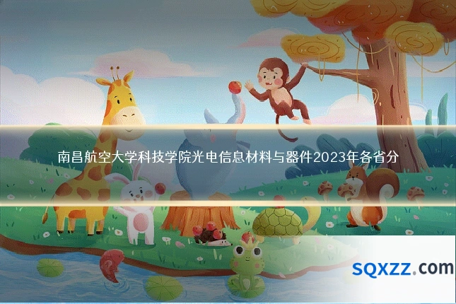 南昌航空大学科技学院光电信息材料与器件2023年各省分