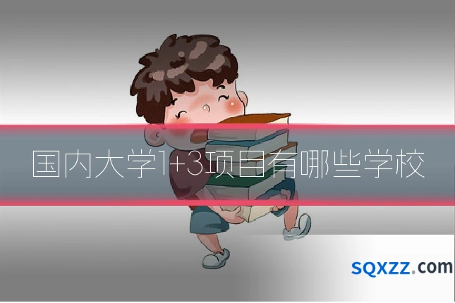 国内大学1+3项目有哪些学校