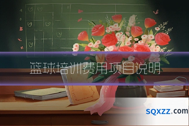 篮球培训费用项目说明