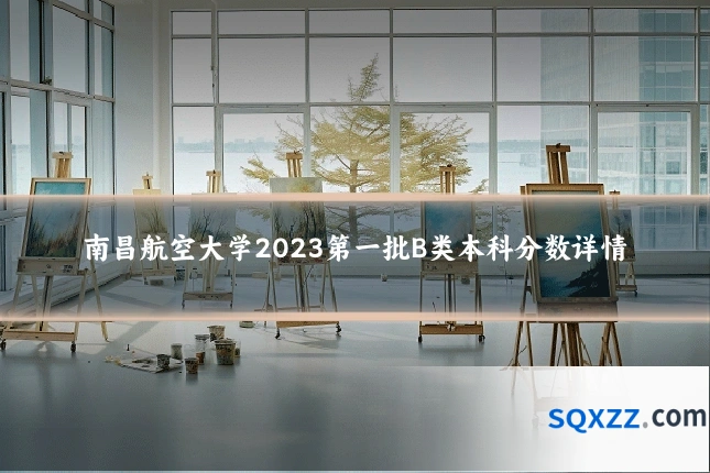 南昌航空大学2023第一批B类本科分数详情