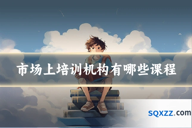市场上培训机构有哪些课程