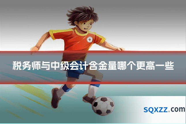 税务师与中级会计含金量哪个更高一些