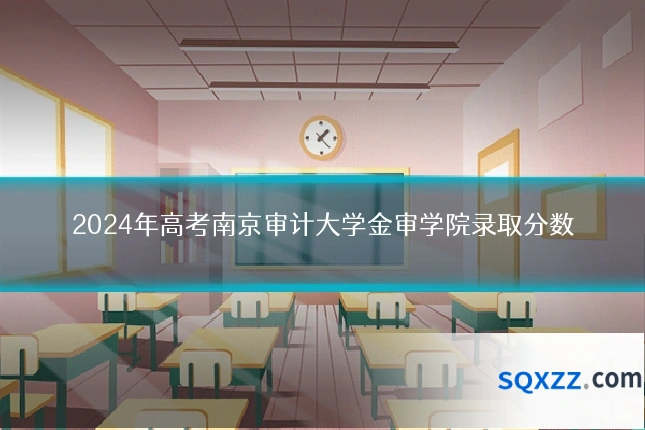 2024年高考南京审计大学金审学院录取分数