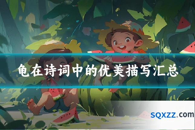 龟在诗词中的优美描写汇总