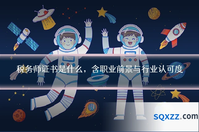 税务师证书是什么，含职业前景与行业认可度