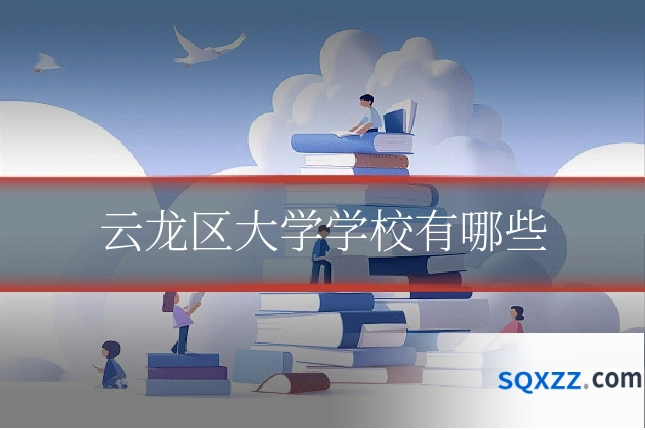 云龙区大学学校有哪些