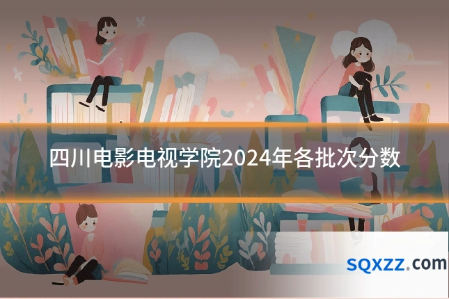 四川电影电视学院2024年各批次分数