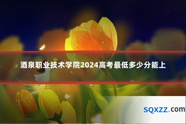 酒泉职业技术学院2024高考最低多少分能上