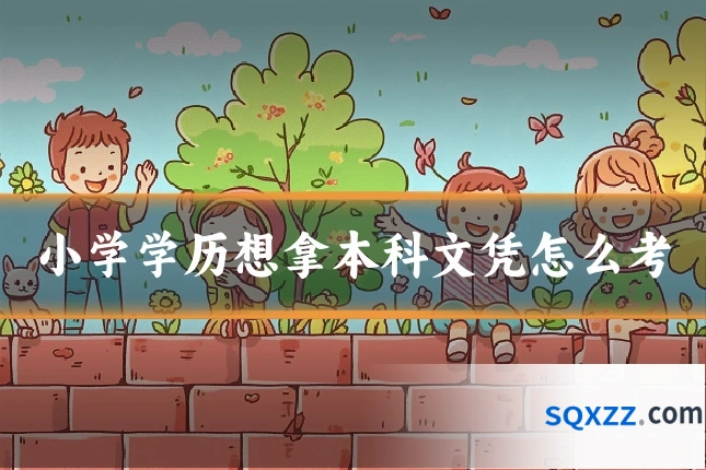 小学学历想拿本科文凭怎么考