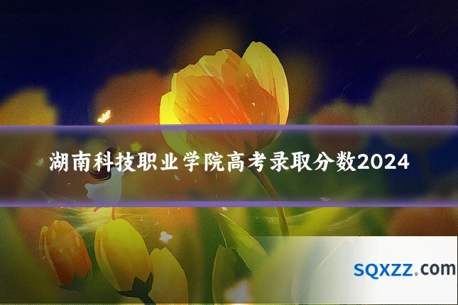 湖南科技职业学院高考录取分数2024