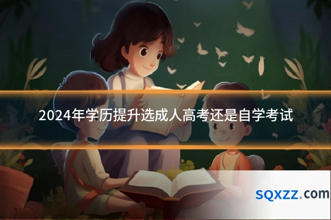 2024年学历提升选成人高考还是自学考试