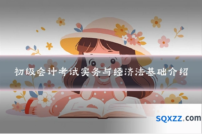 初级会计考试实务与经济法基础介绍