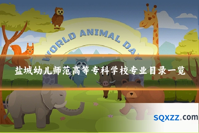 盐城幼儿师范高等专科学校专业目录一览