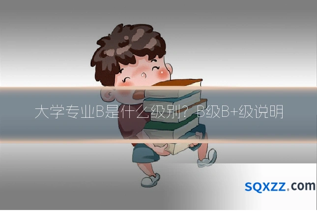 大学专业B是什么级别?B级B+级说明
