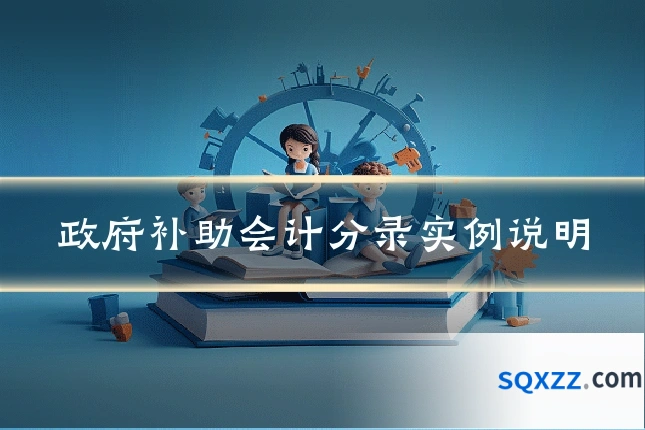 政府补助会计分录实例说明