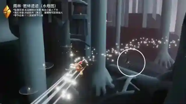 光遇每日任务
