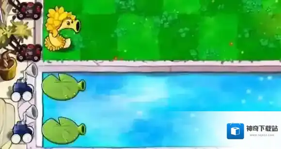 植物大战僵尸杂交版睡莲