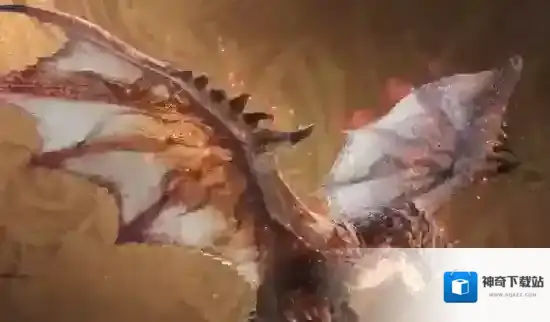 怪物猎人：旅人怪物