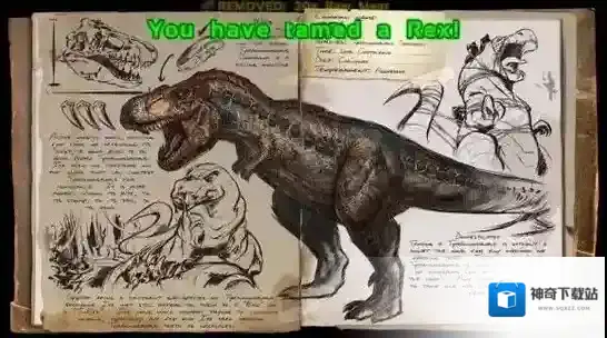 方舟：生存进化方舟生存进化