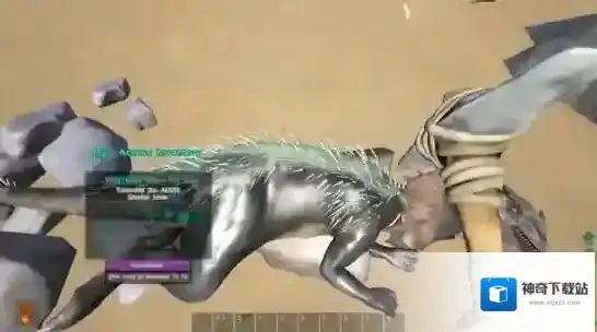 方舟：生存进化生物