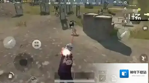 绝地求生：刺激战场队友