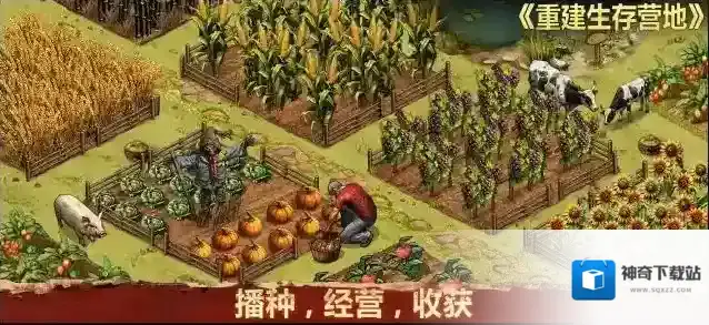 重建生存营地营地