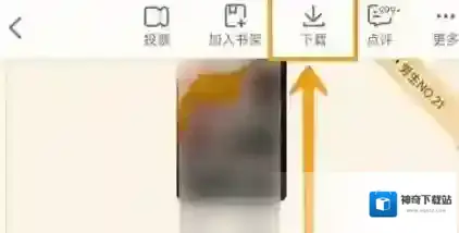 书旗小说小说了