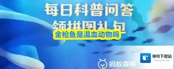 金枪鱼是温血动物吗