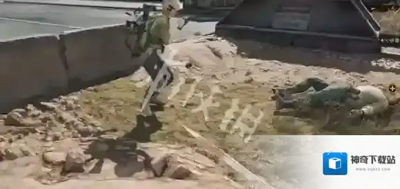 三角洲行动卖命