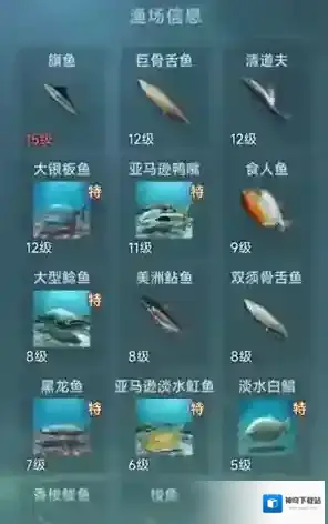 大航海时代：传说巨骨舌鱼