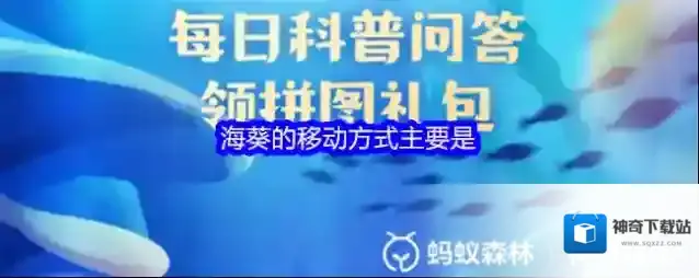 海葵的移动方式主要是