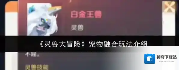 《灵兽大冒险》宠物融合玩法介绍