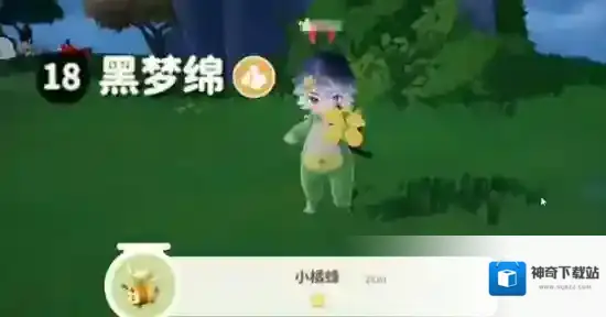 米姆米姆哈详细了解