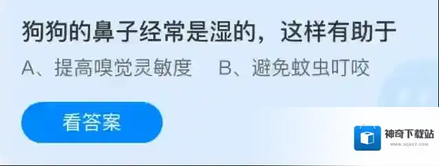 狗狗的鼻子经常是湿的，这样有助于