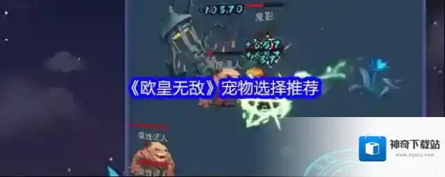 《欧皇无敌》宠物选择推荐