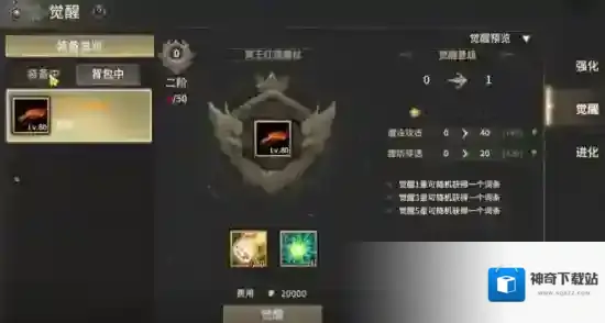 奇迹世界:起源小伙伴们